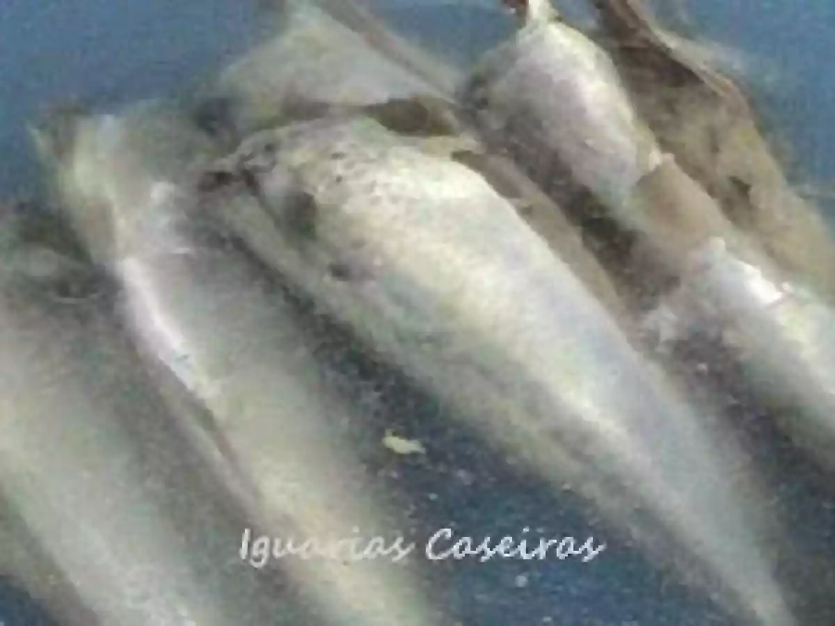 Cavalas Alimadas - foto 3