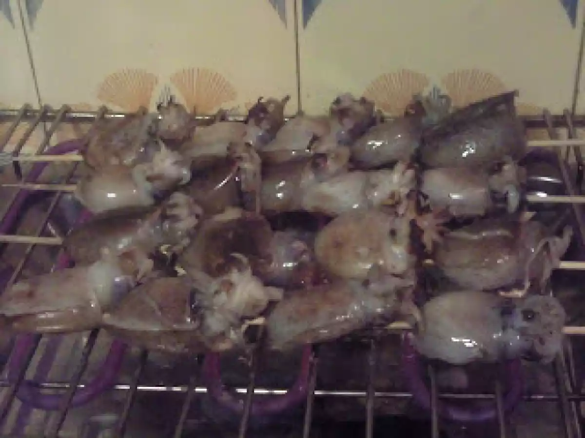 Chocos grelhados com molho á Espanhola - foto 2