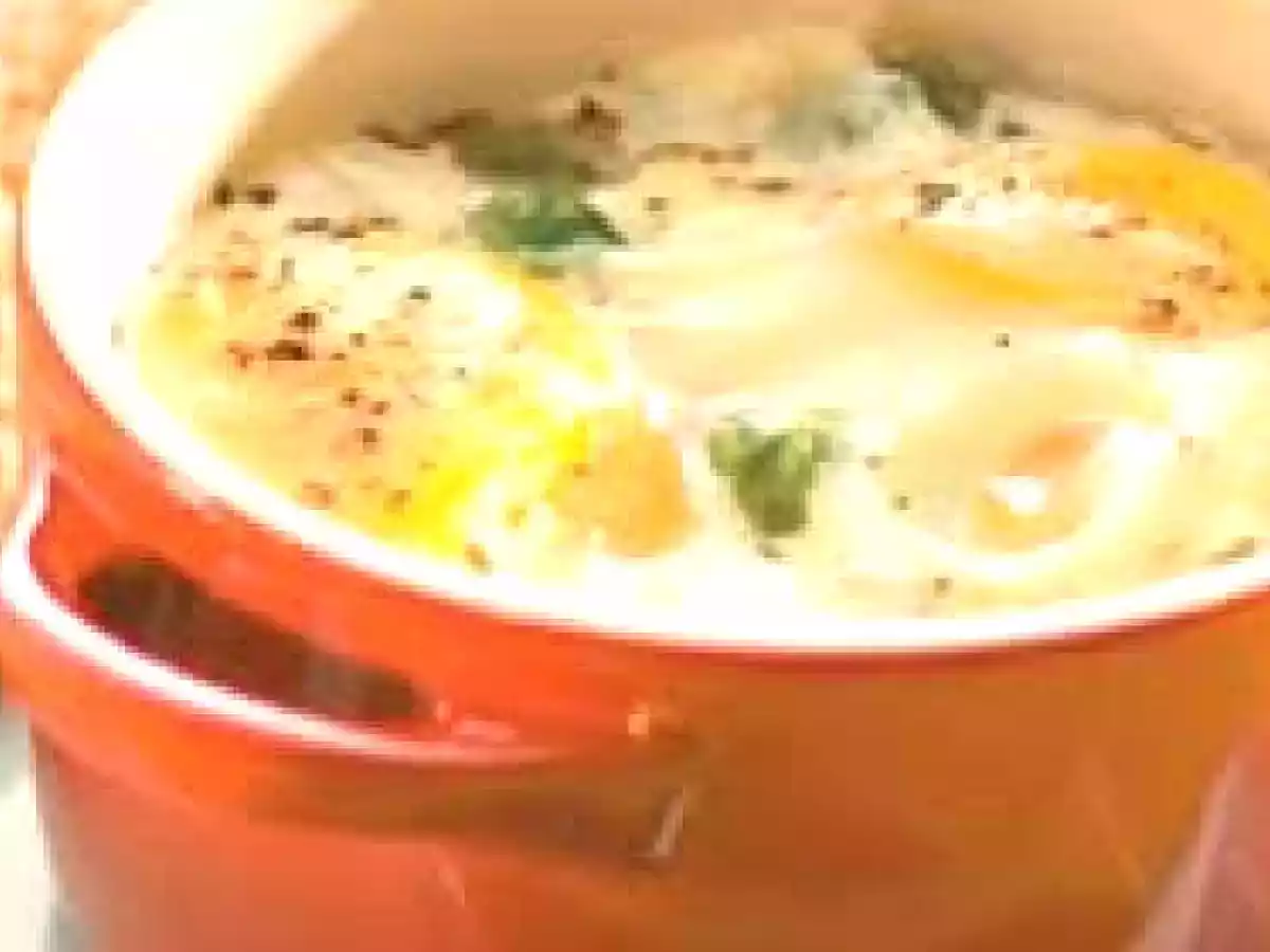 Cocotte de peito de peru