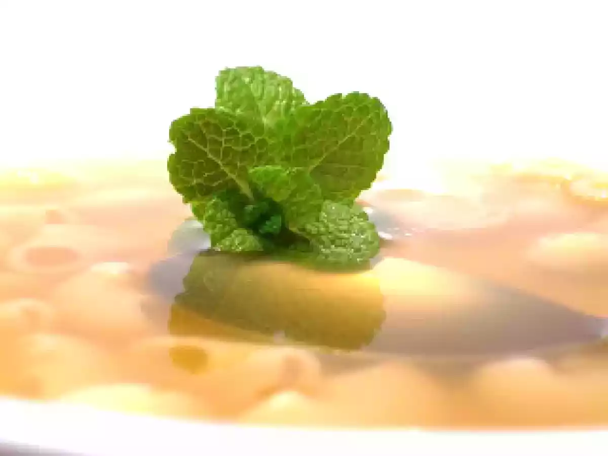 Consommé de pato