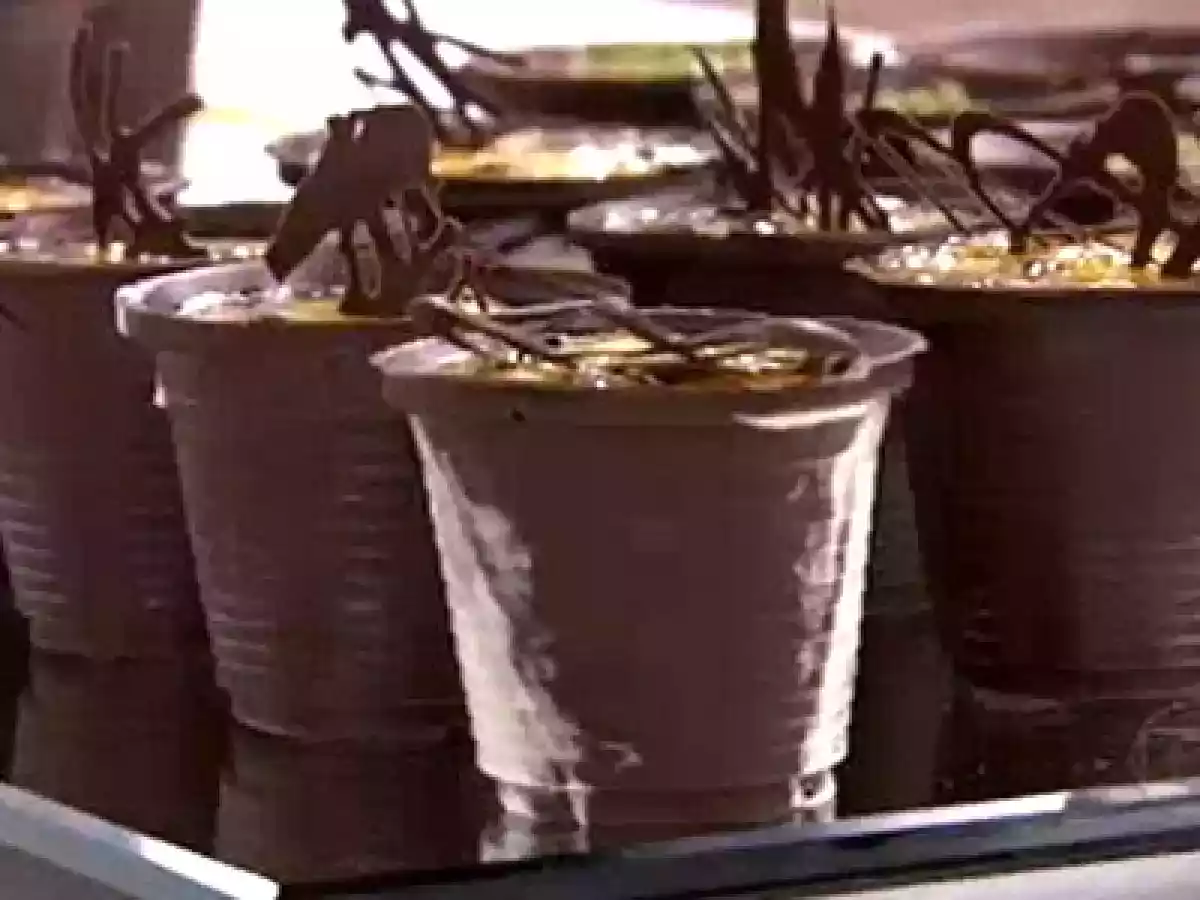 Copinho de chocolate - Especial para a Filipa