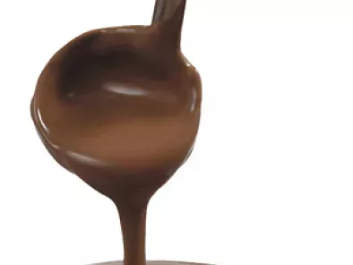 Delicia de chocolate