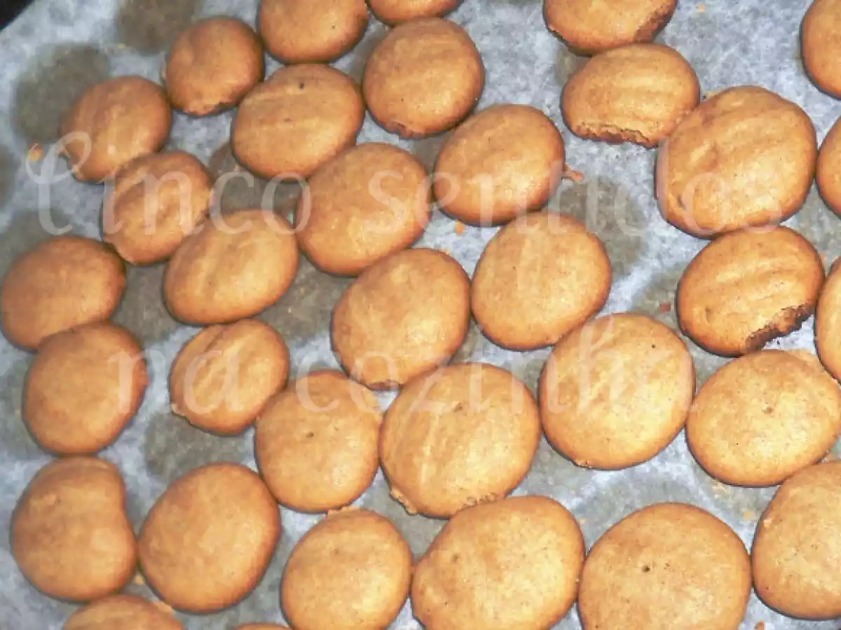 Dia do animal - Biscoitos caseiros para cão - foto 2