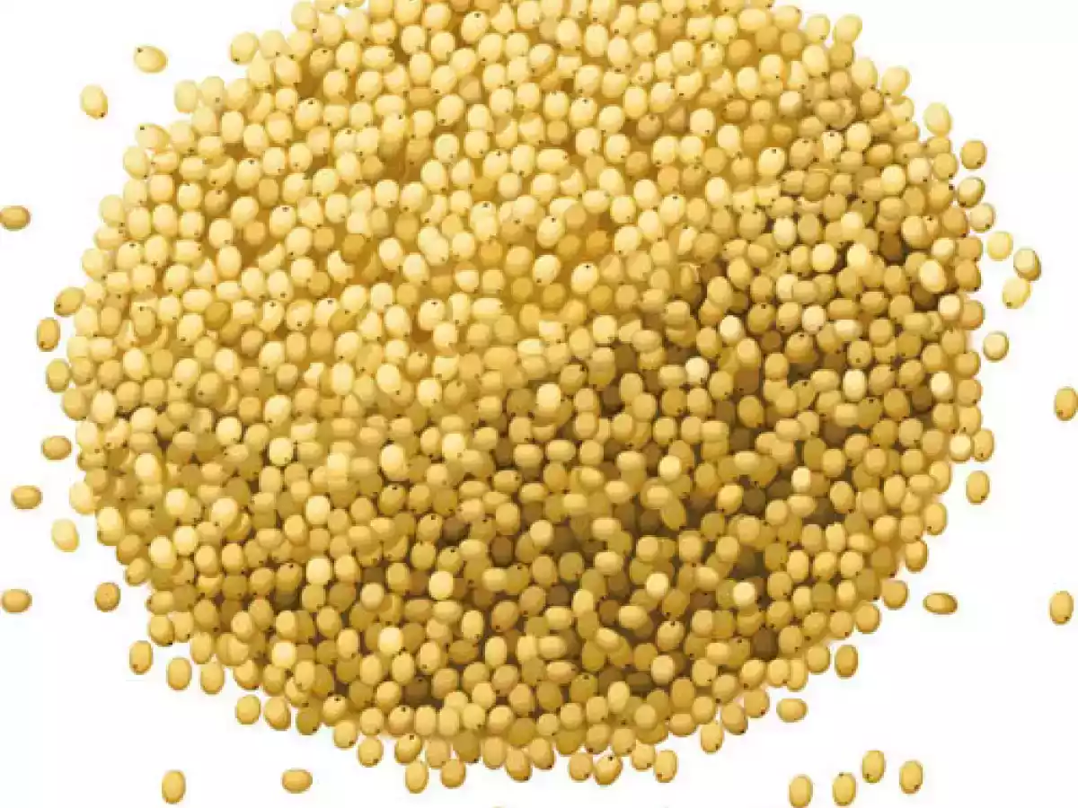 Empadão de Millet