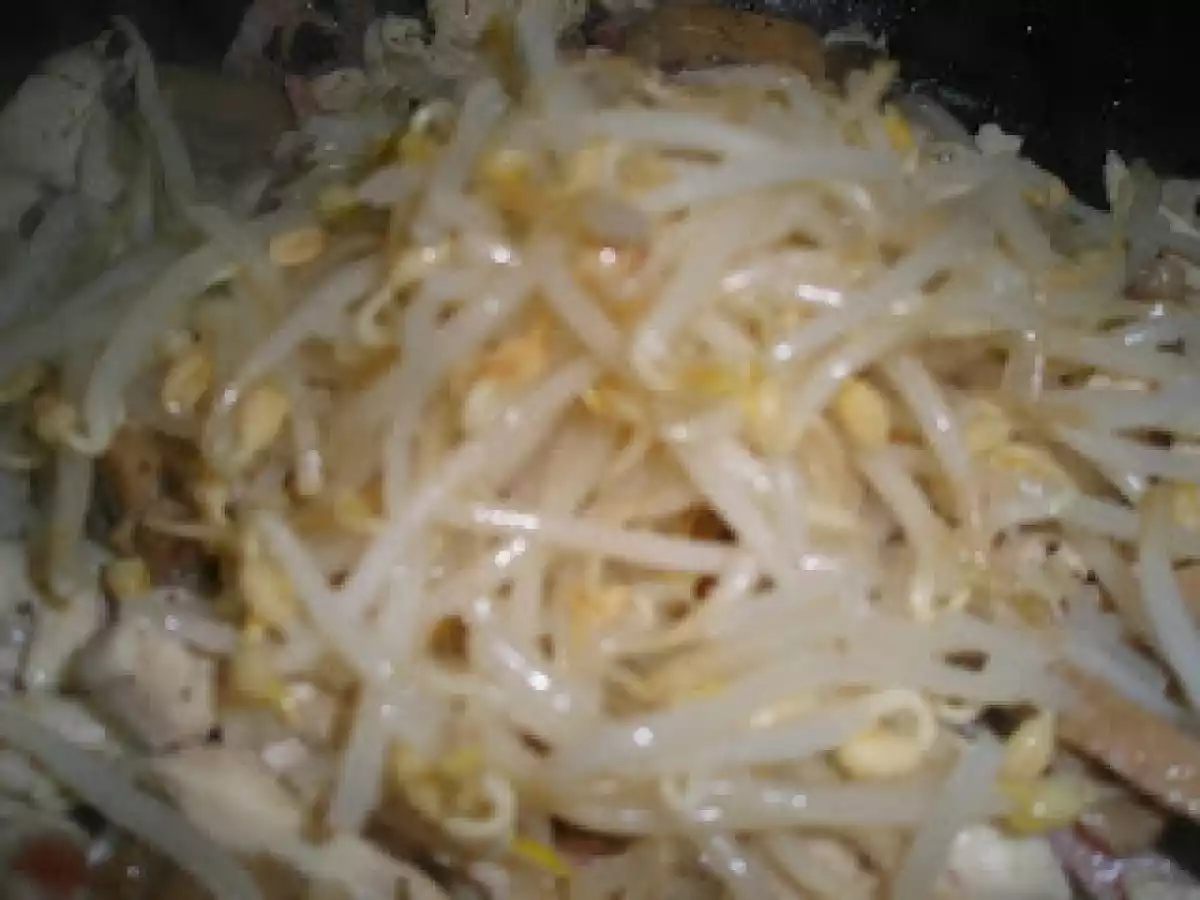 Frango com Bacon, Cogumelos e Rebentos de Soja, sobre cama de Massa - foto 4