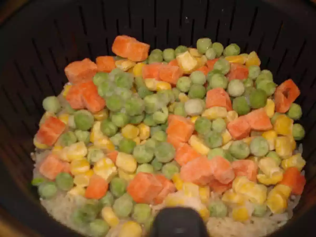 FRANGO FRITO NA ACTIFRY ACOMPANHADO COM ARROZ PRIMAVERA ... - foto 8