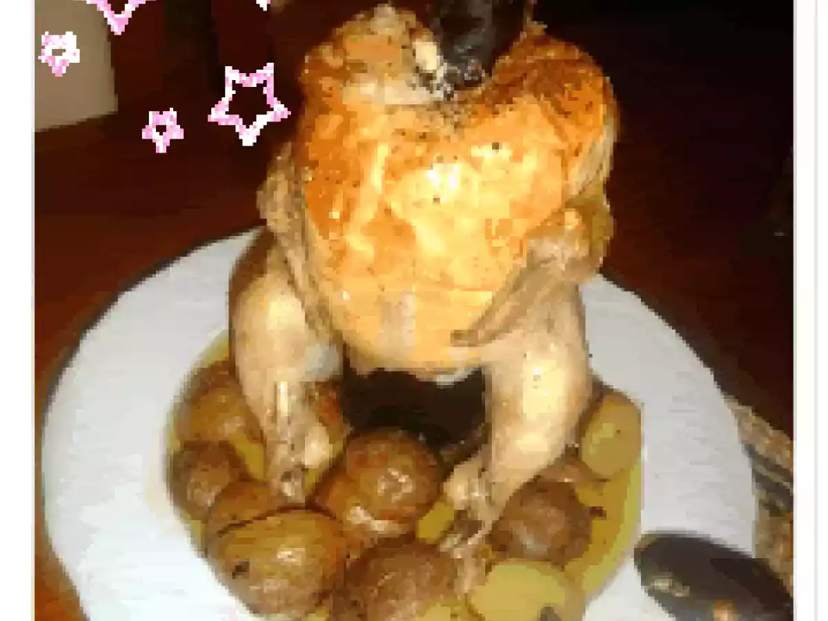 Frango Sentado