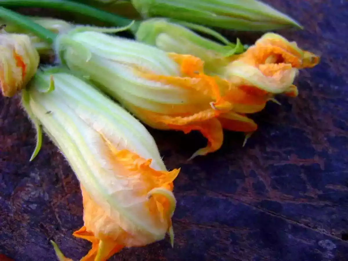 FRITADA DE FLORES DE ABÓBORA E ERVINHAS DA HORTA - foto 3