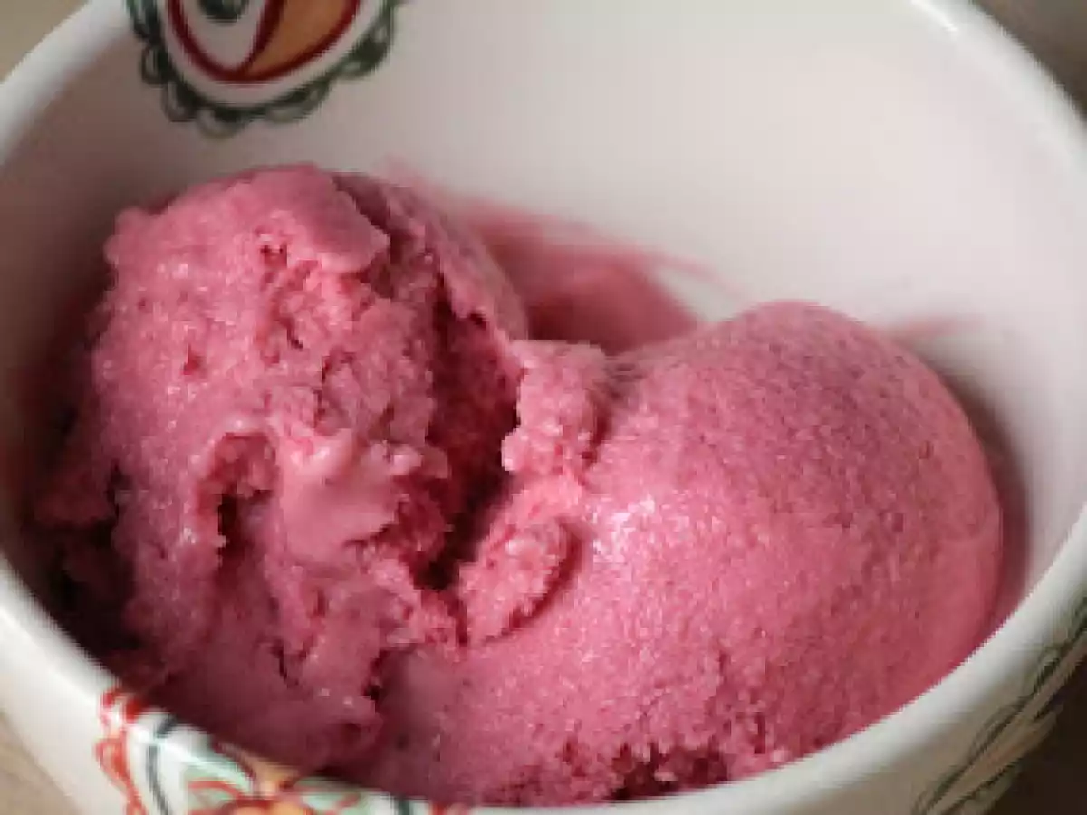 Frozen Yogurt de Frutas Vermelhas