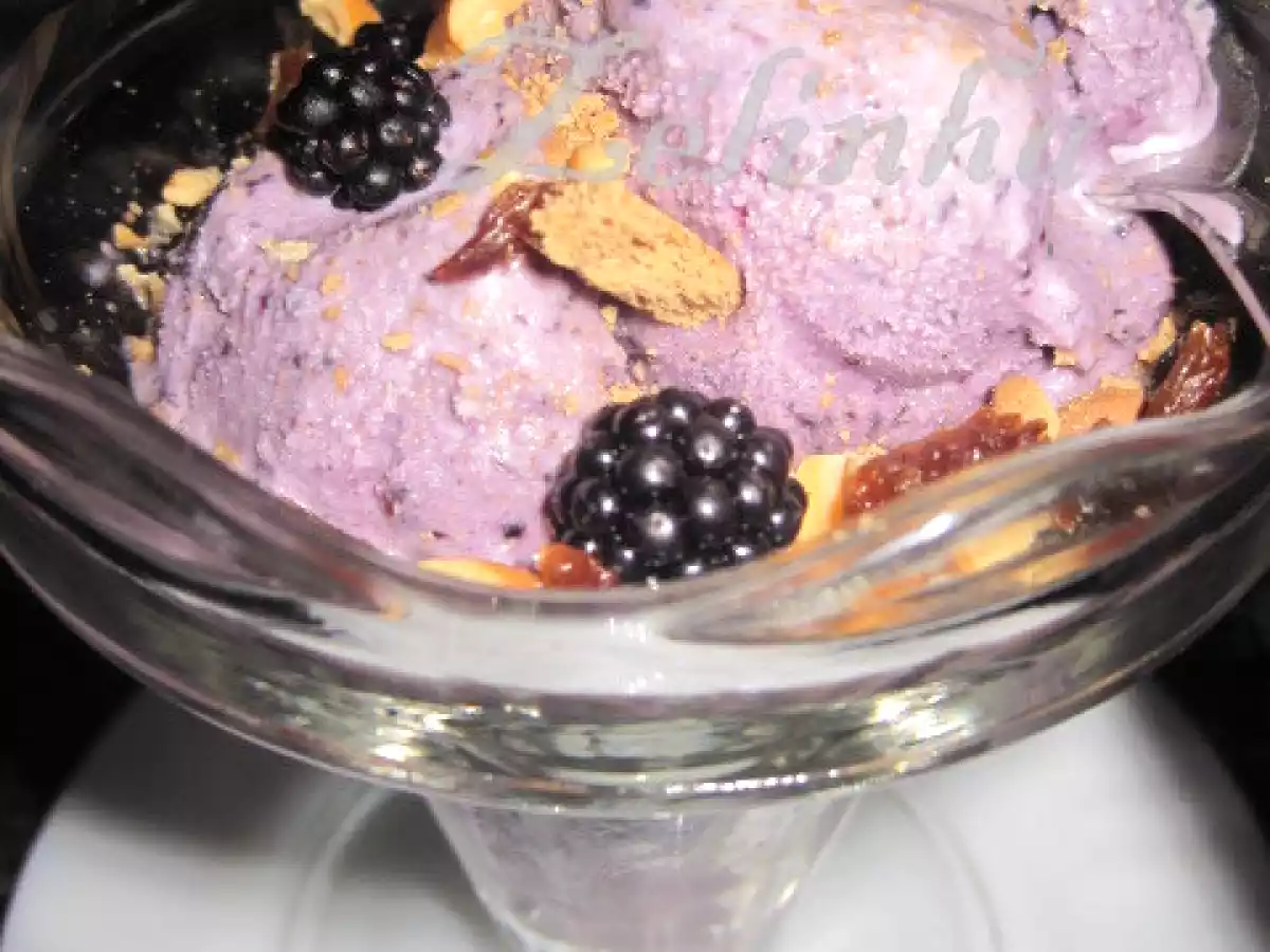 GELADO DE AMORAS SILVESTRES