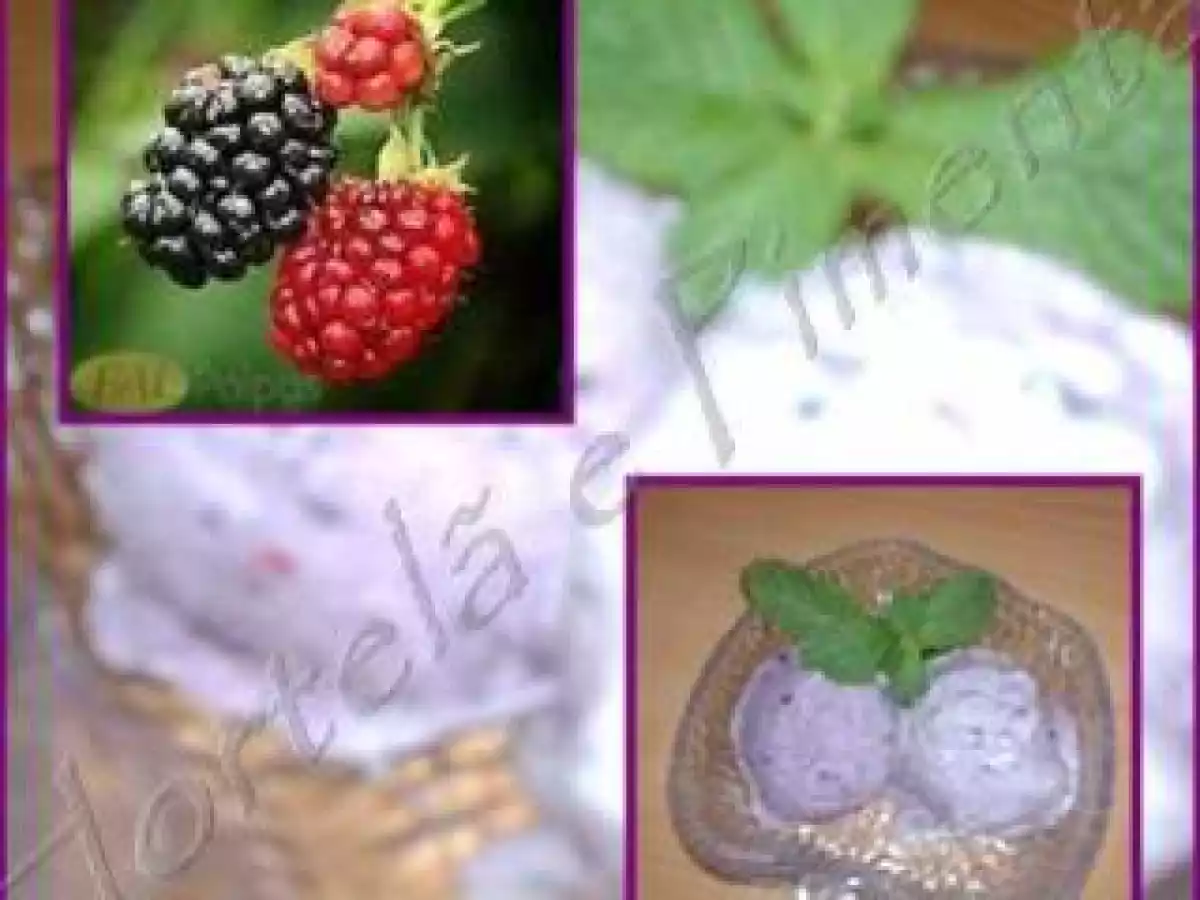 Gelado de Frutos Vermelhos