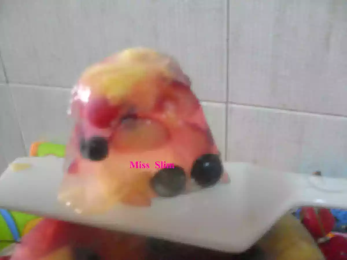 Gelatina de Frutas com Alga Agar-agar
