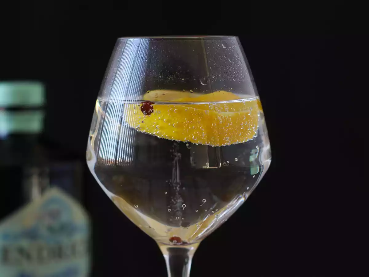 Gin tônica aromatizada, o drinque perfeito entre amigos - foto 2