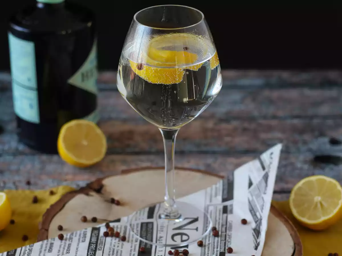 Gin tônica aromatizada, o drinque perfeito entre amigos - foto 3