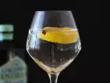 Gin tônica aromatizada, o drinque perfeito entre amigos, foto 1