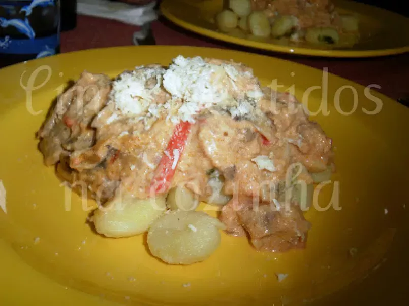 Gnocchi com atum e delicias do mar, foto 1