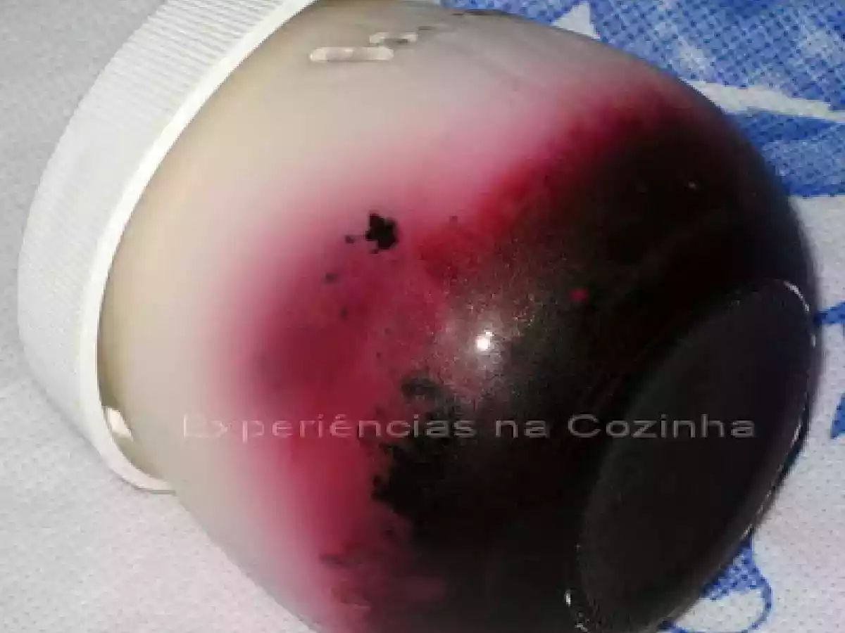 Iogurte de Amora - foto 3