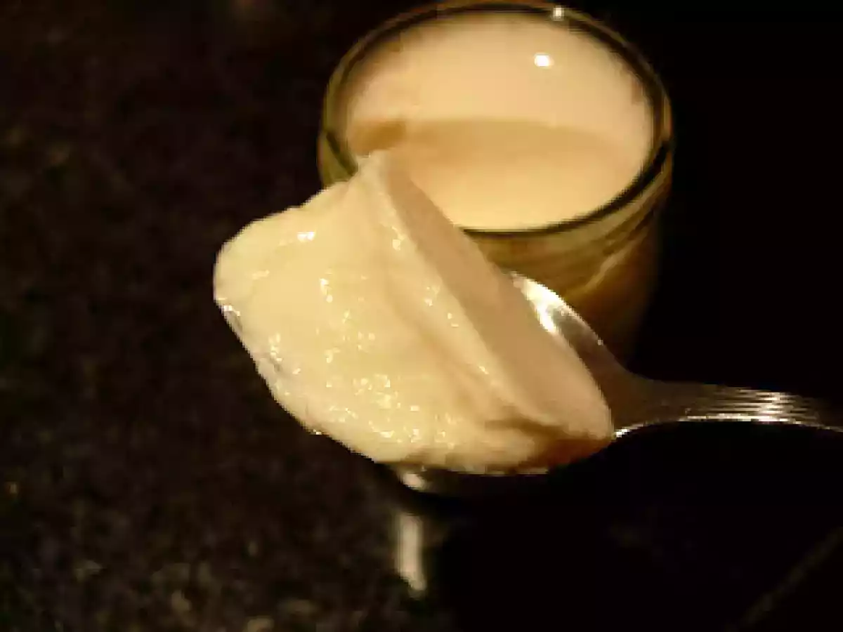 Iogurte de aveia com mel e canela