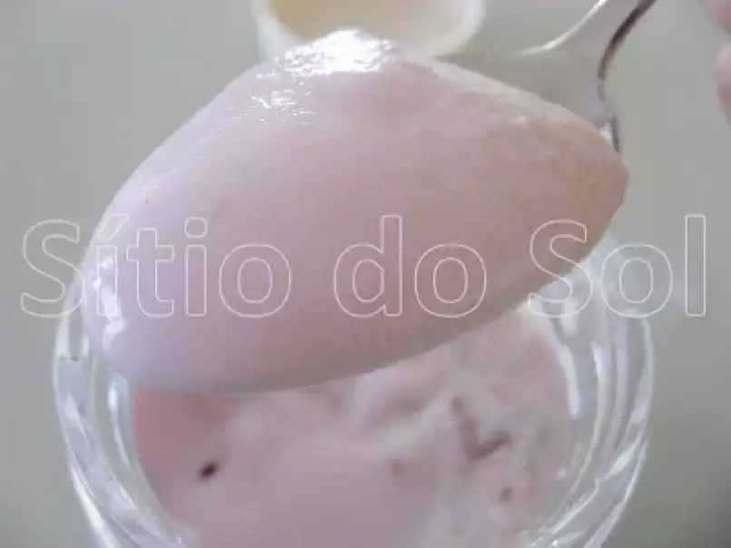Iogurte de Mirtilos, foto 1