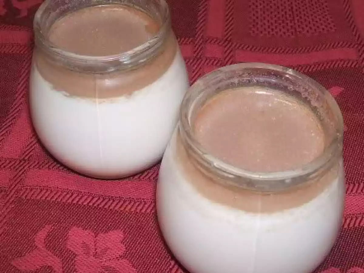 Iogurtes de Chocolate