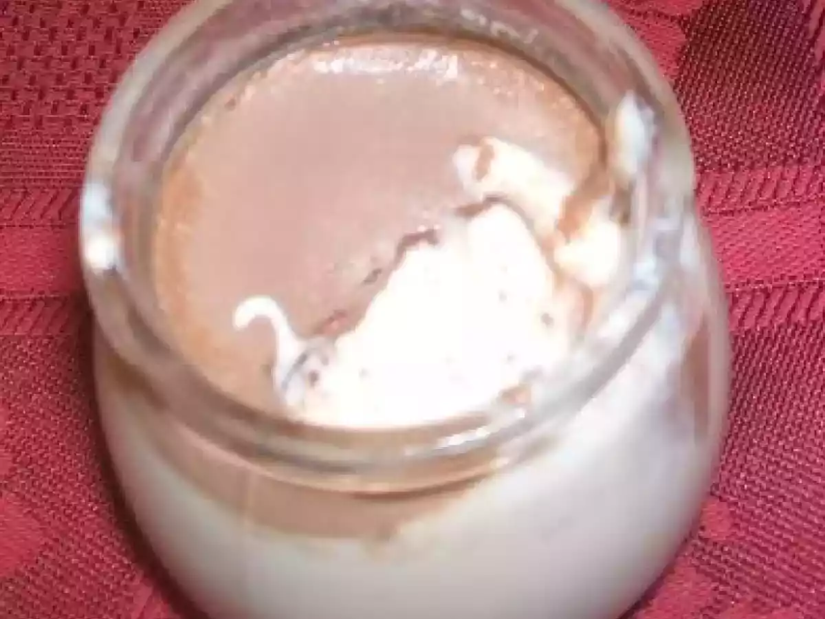 Iogurtes de Chocolate - foto 2