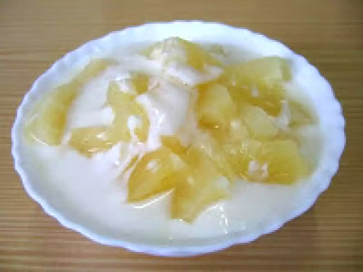 Iogurtes de Coco Ralado