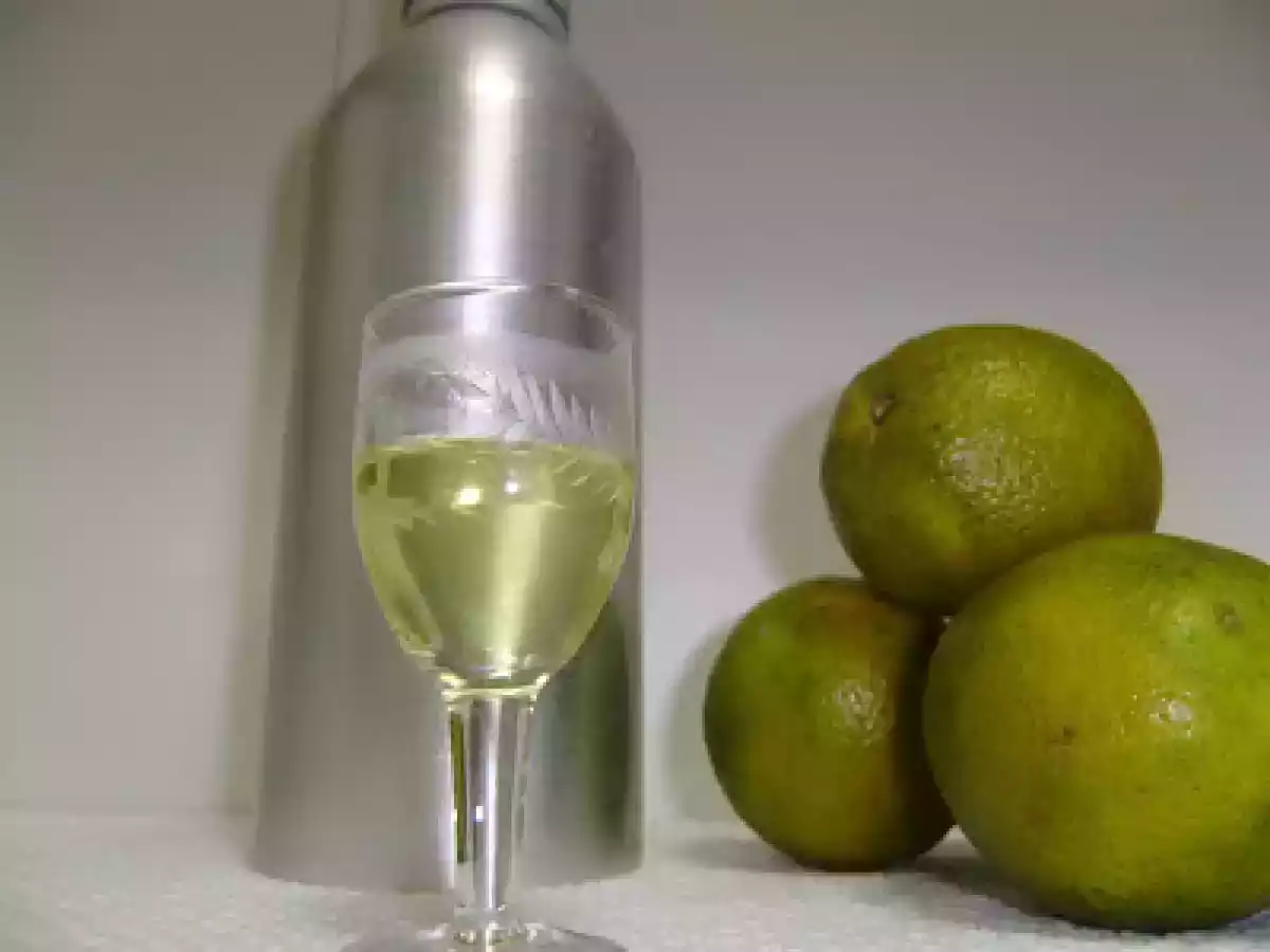 Laranja - Licor e Essência Natural - foto 2