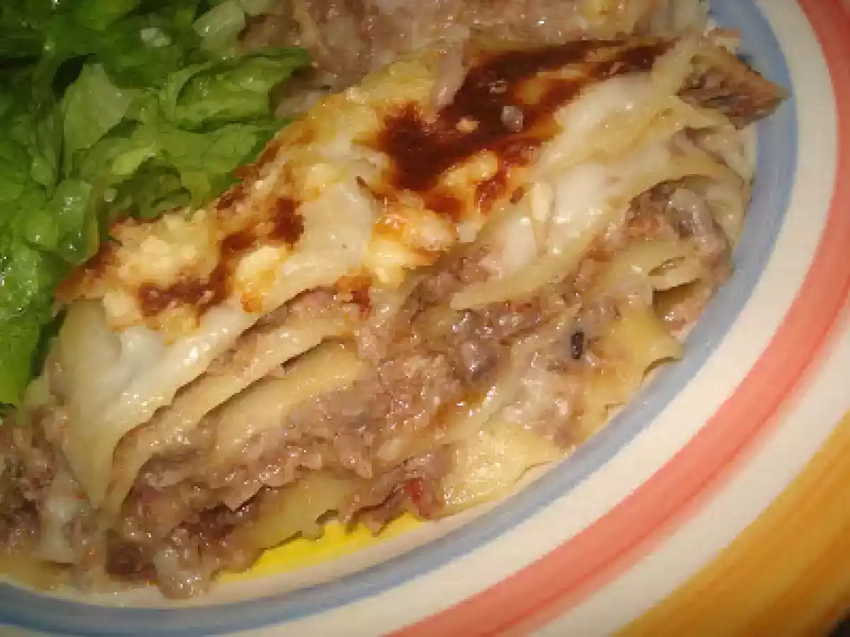 LASANHA DE CARNE- APROVEITAMENTOS - foto 2