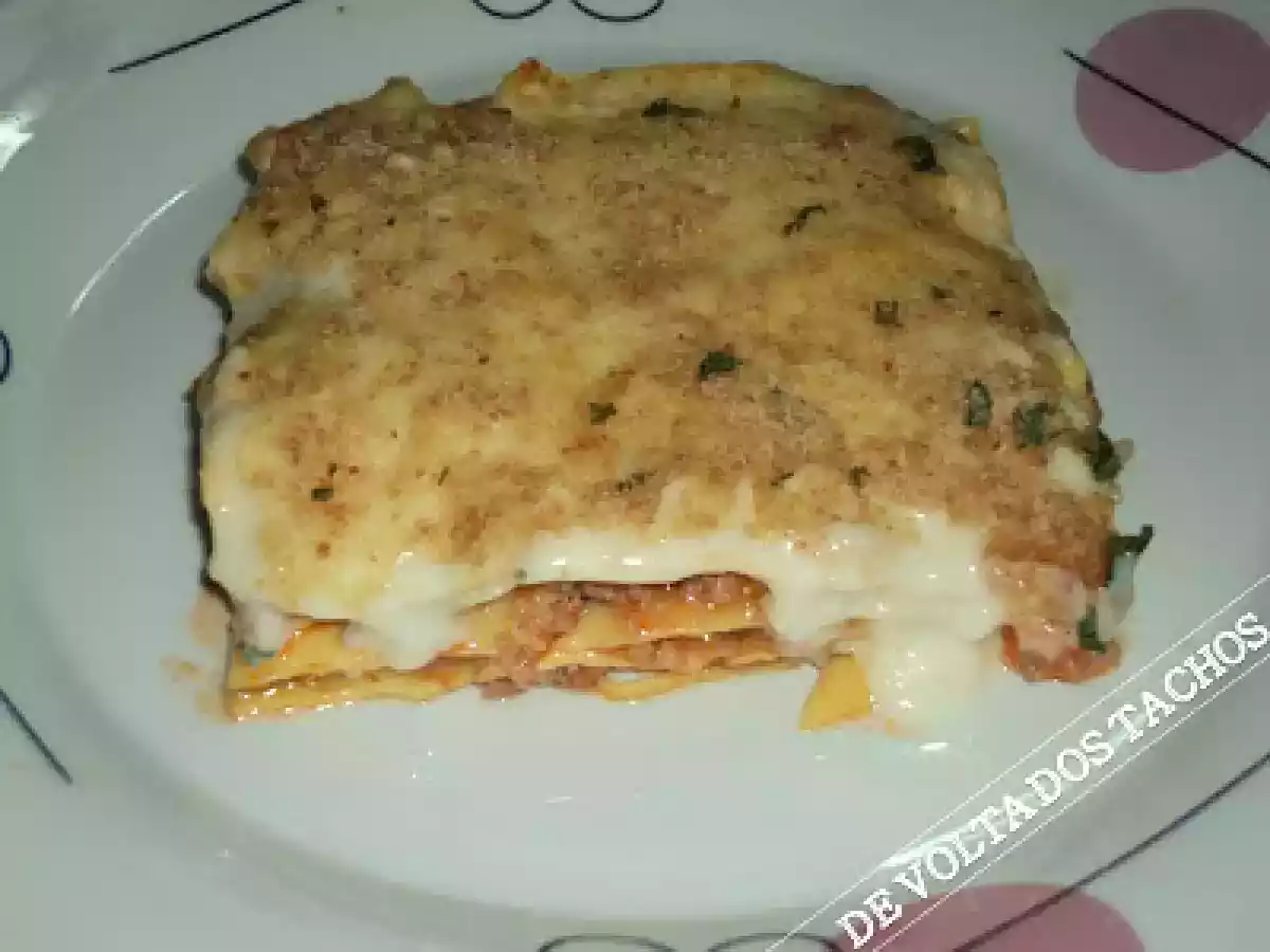 LASANHA DE CARNE COM CENOURA E COGUMELOS