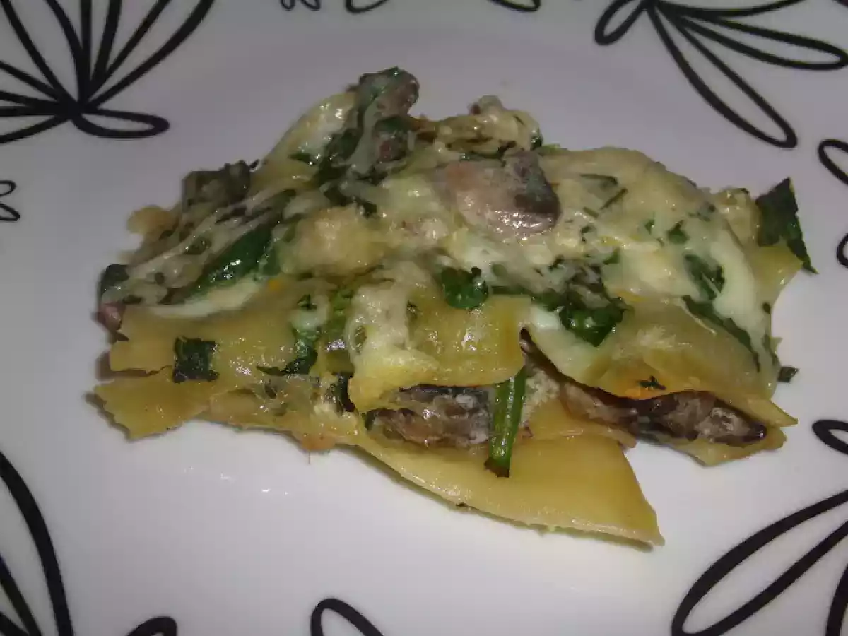 Lasanha de cogumelos e mozzarella