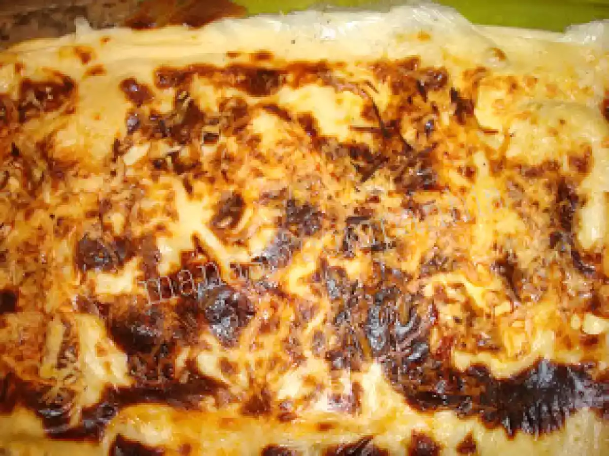 Lasanha vegetariana simples (ju)