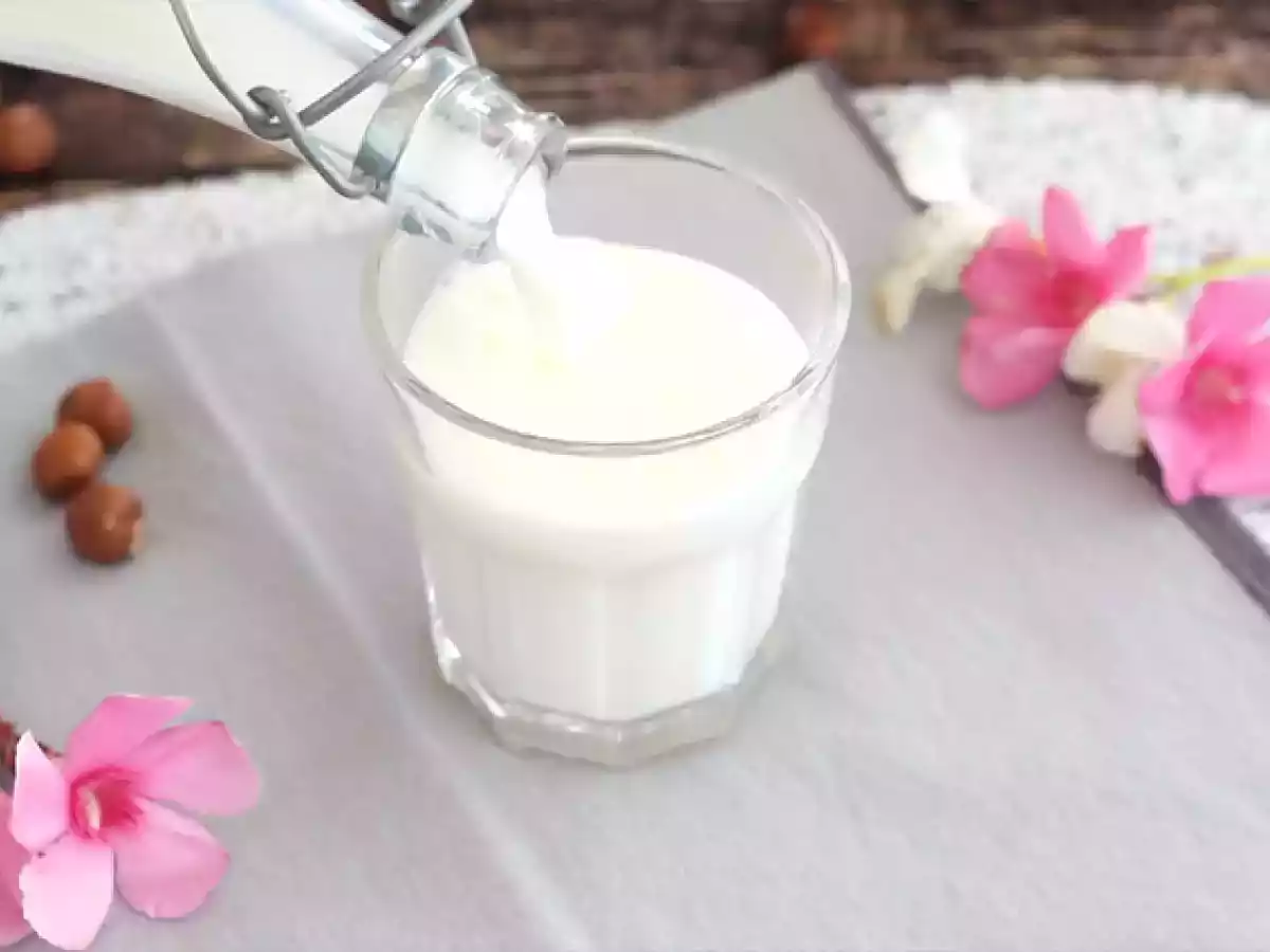 Leite de amêndoas caseiro (sem lactose) - foto 2