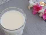 Leite de amêndoas caseiro (sem lactose), foto 3