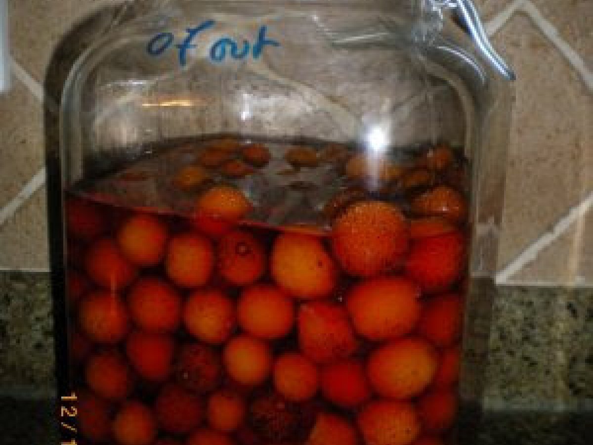 Licor de medronho