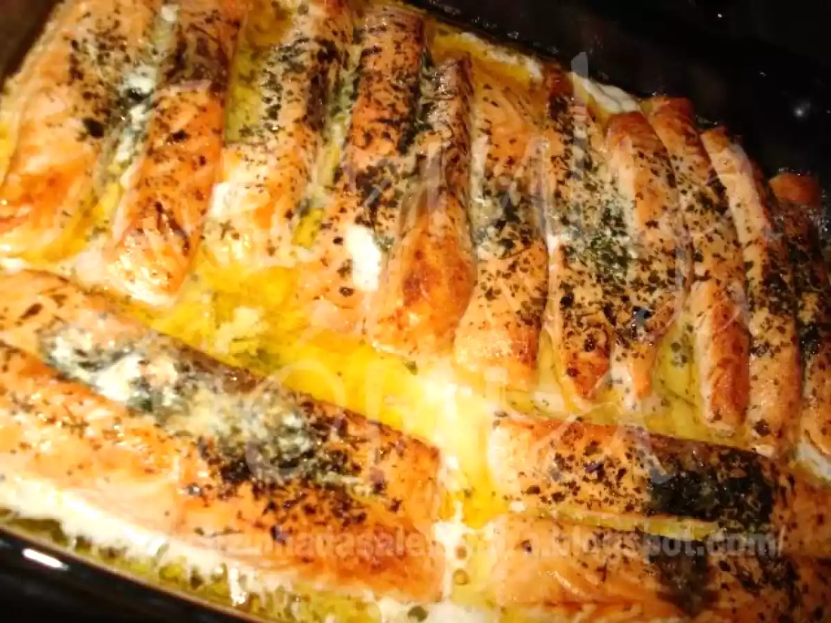 LOMBOS DE SALMÃO, NO FORNO, AROMATIZADOS DE COENTROS