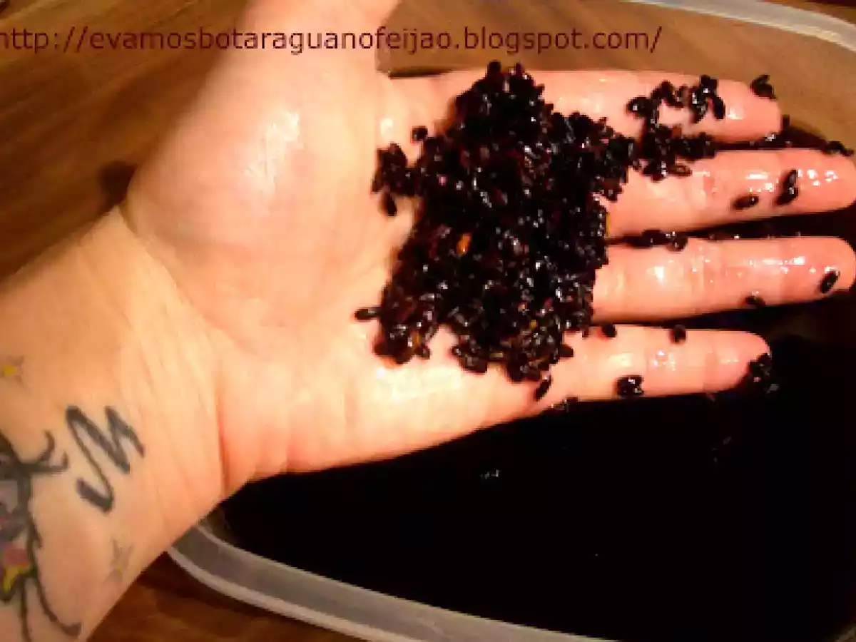 Lulas ensopadas com arroz negro e polenta - foto 4