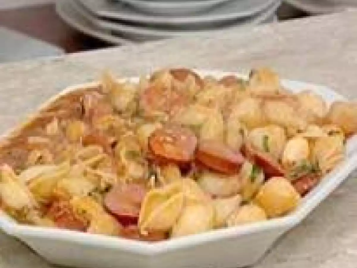 Macarrão Búzio com Calabresa