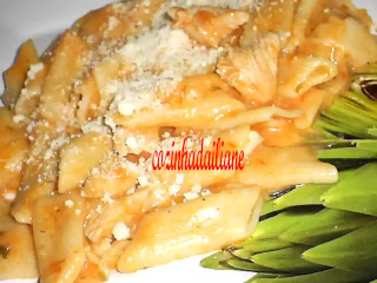 Macarrão com frango na panela de pressão(cozinha rapida e pratica)