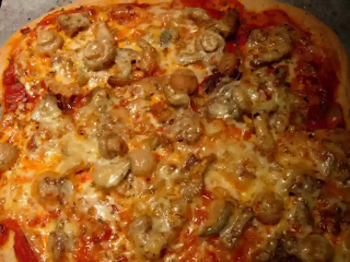 Massa de Pizza para Máquina de Pão - foto 2