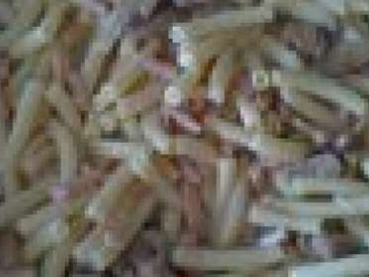 MASSAS COM COGUMELOS E FIAMBRE