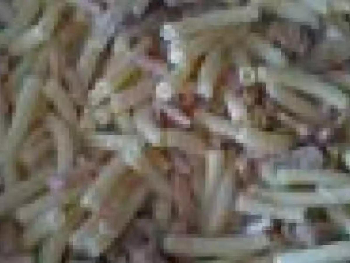 MASSAS COM COGUMELOS E FIAMBRE