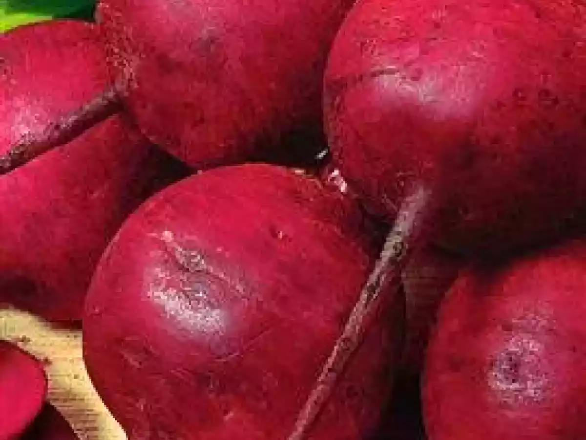 MOLHO DE BETERRABA E TOMATE