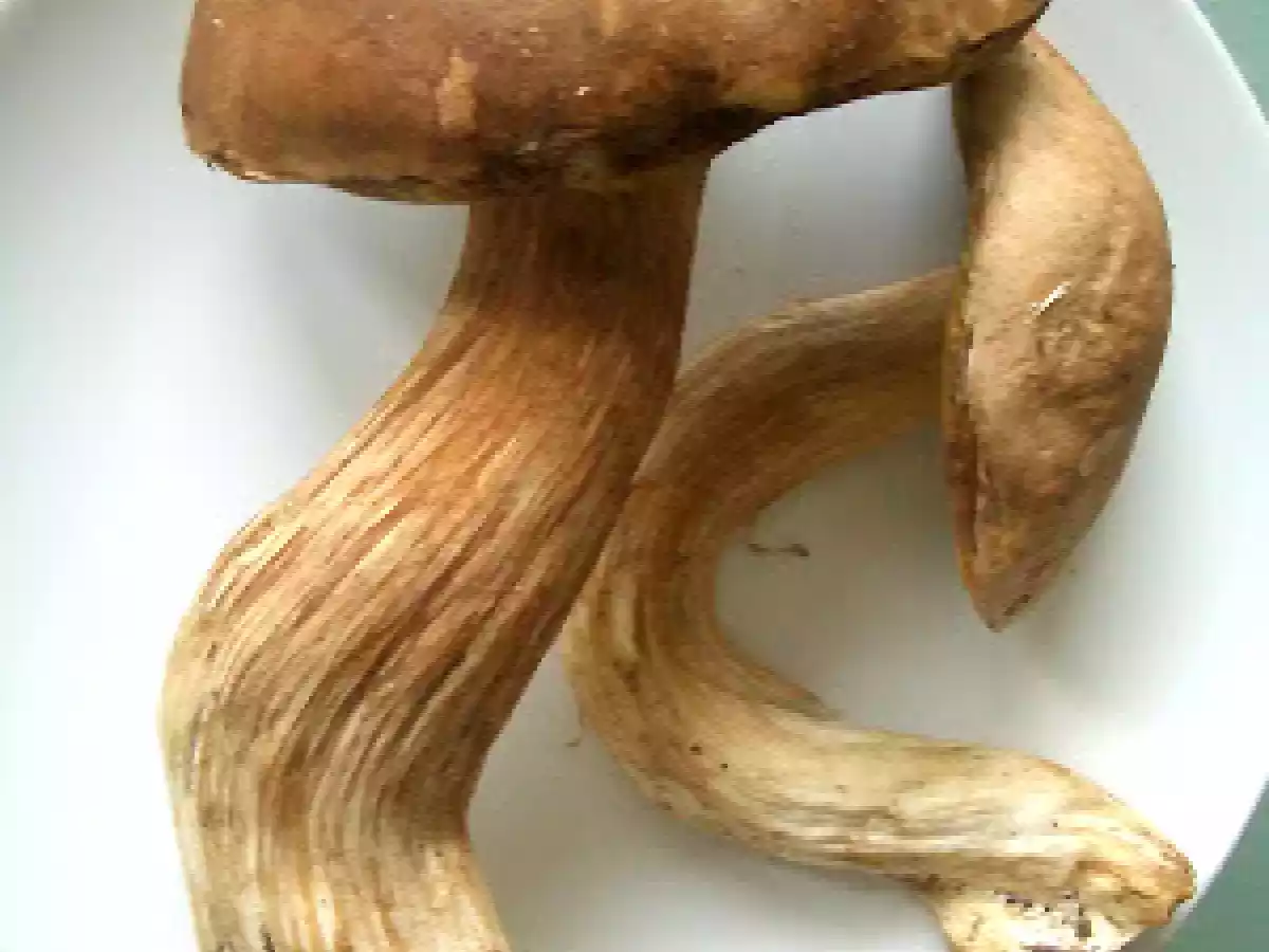 Mousse de ricota com presunto cru, figos e cogumelos Porcini - foto 2
