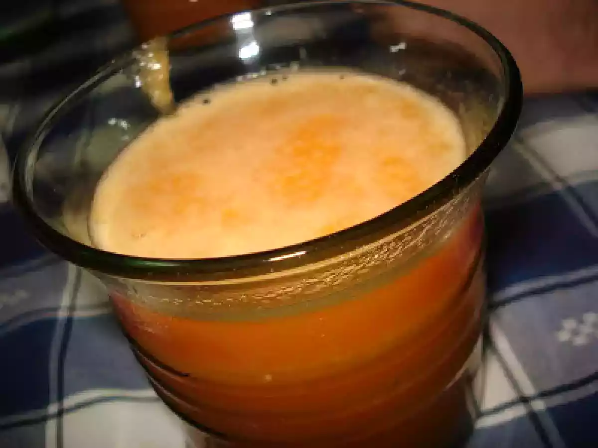 NÉCTAR DE CENOURA E LARANJA...