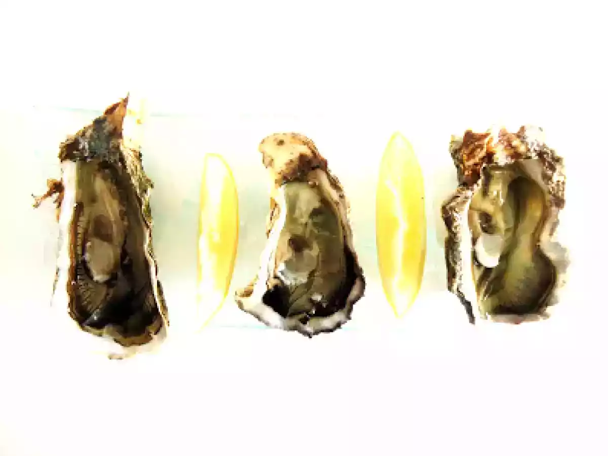 Ostras ao Natural - foto 3