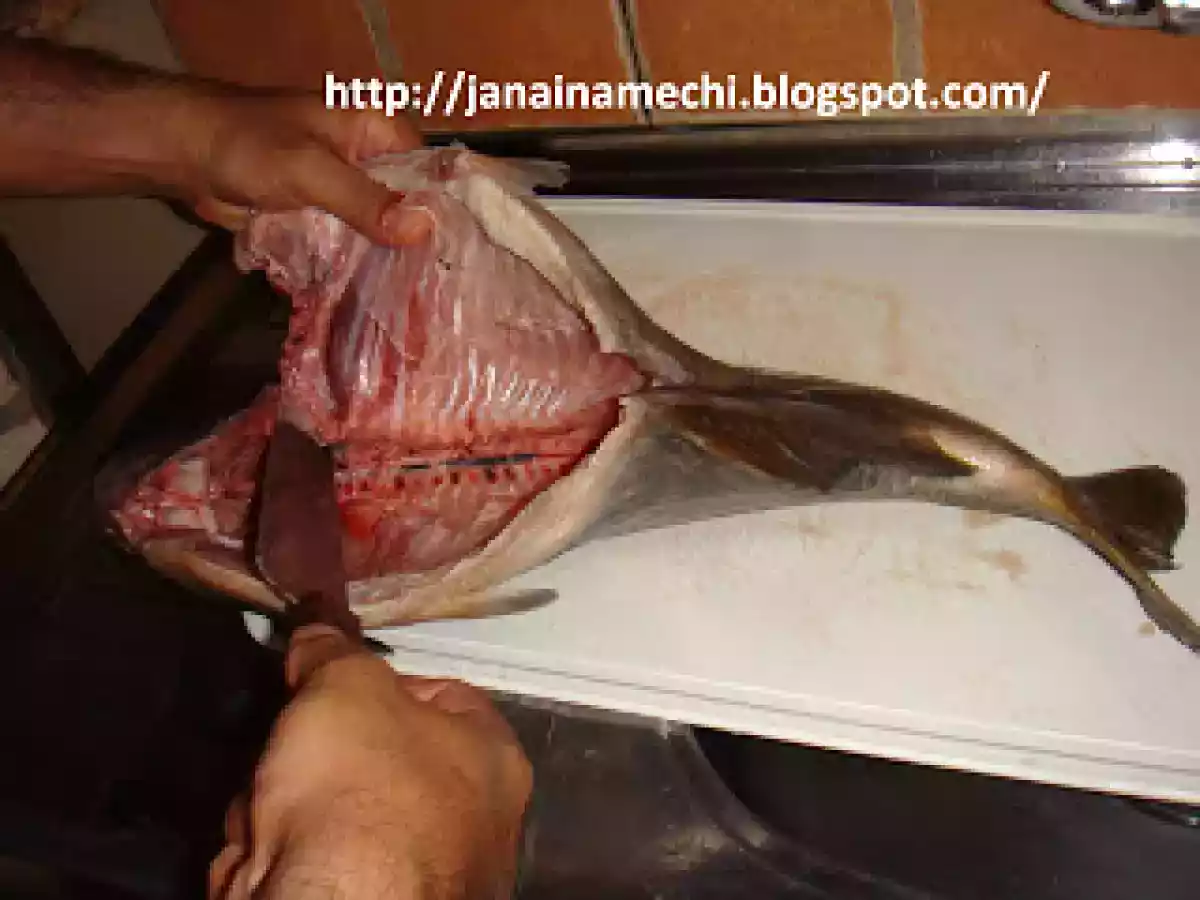 Pacu Assado - Aberto - foto 2