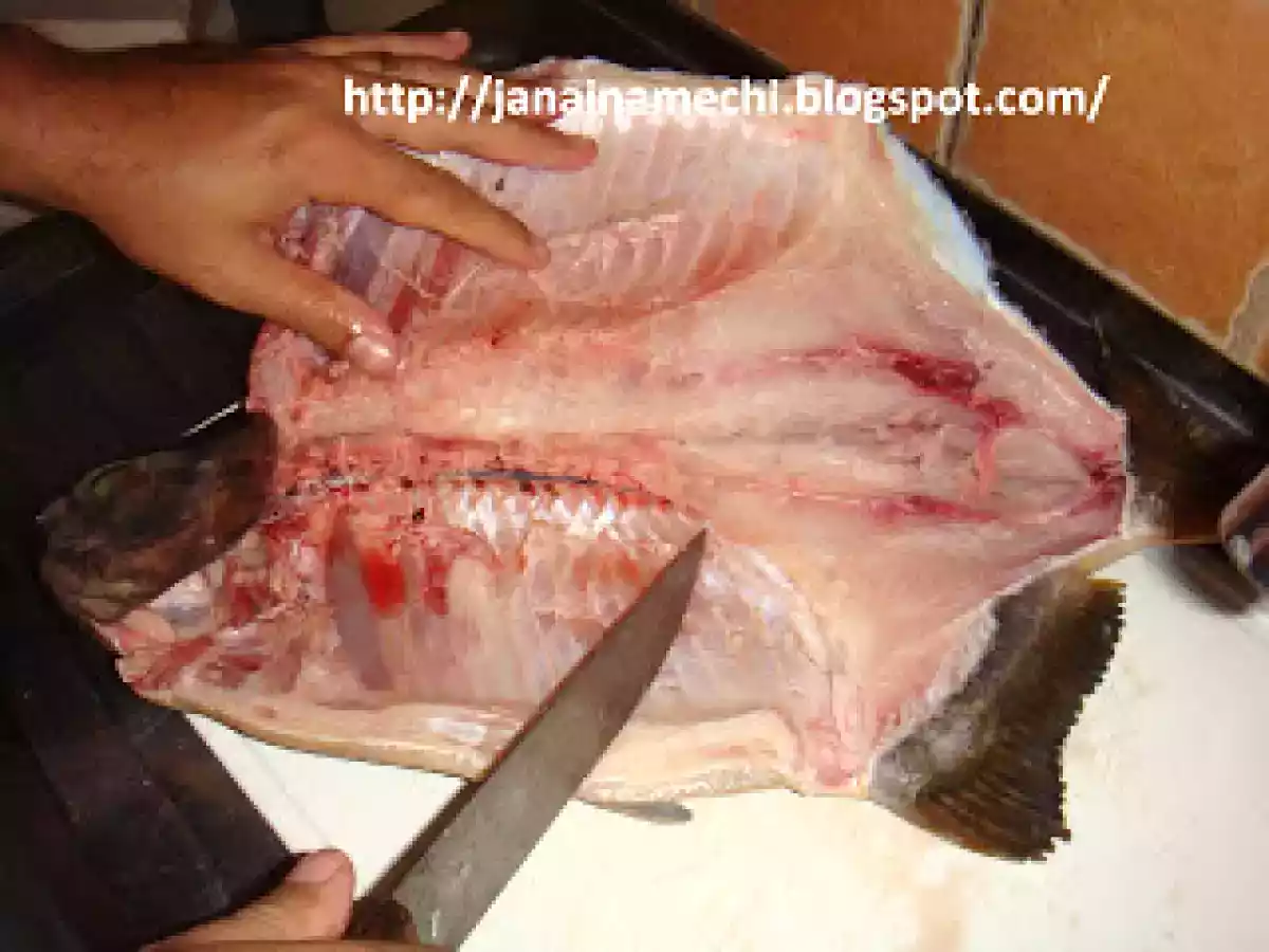 Pacu Assado - Aberto - foto 3