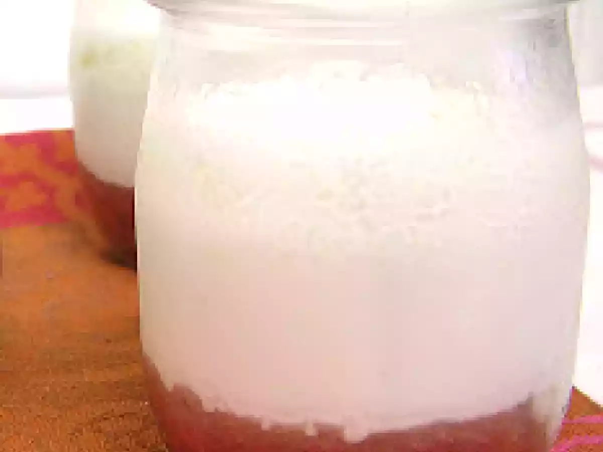 Panna Cotta de Coco com Compota de Morango e Ruibarbo