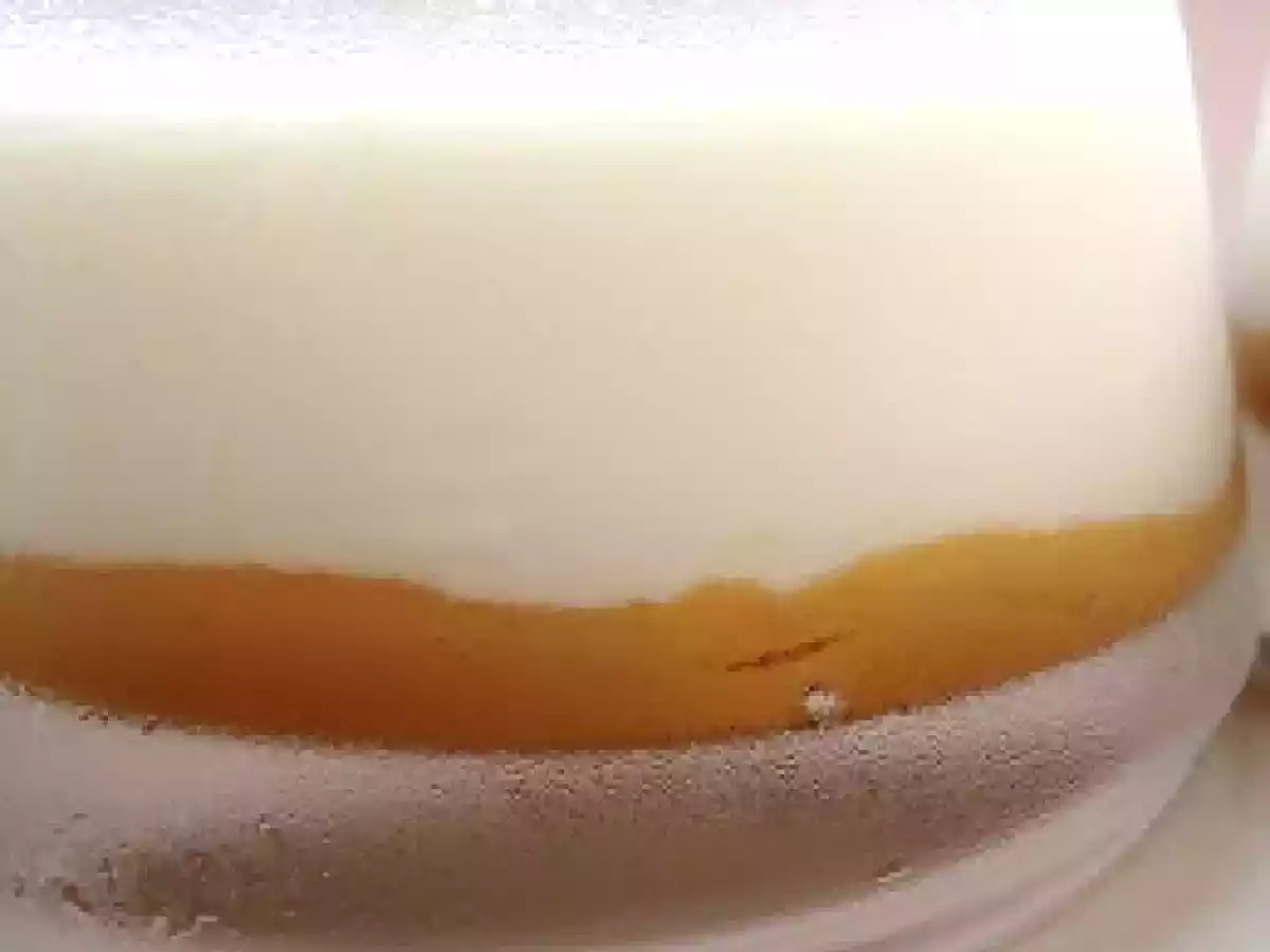 Panna Cotta de Doce de Leite
