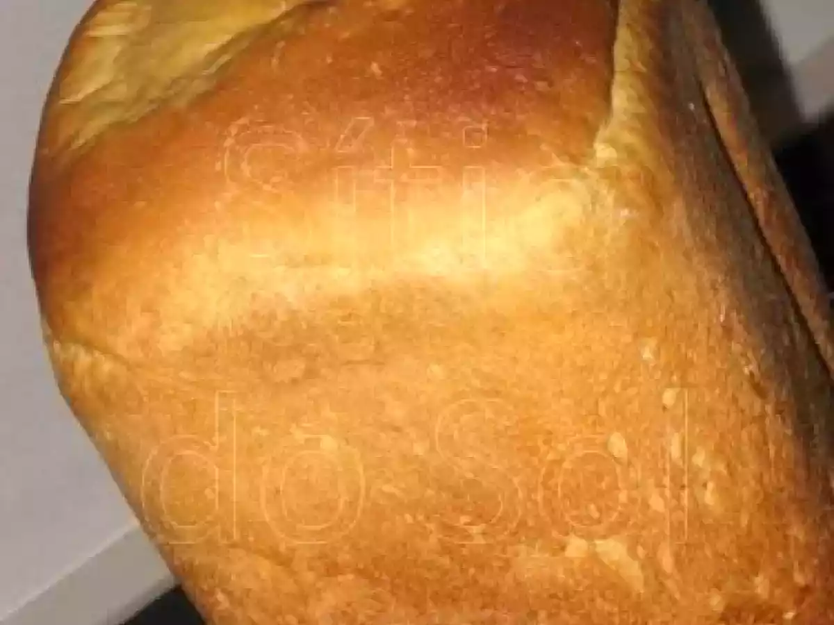 Pão Brioche (MFP)